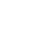 SLM